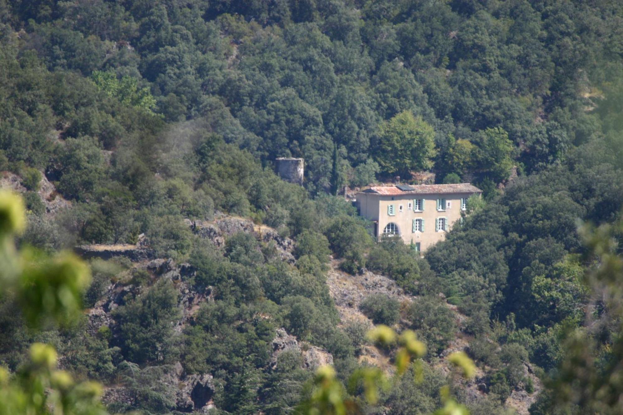 La Grenouille Bed & Breakfast Valleraugue Exterior photo